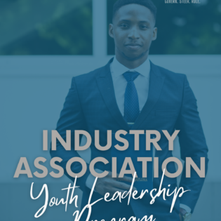 Industry Association Partnership Youth Ecosystem Blueprint Program