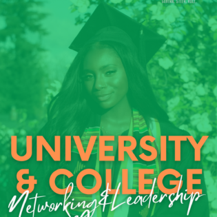 University & College Partnership Steering Growth Acceleration Retainer III